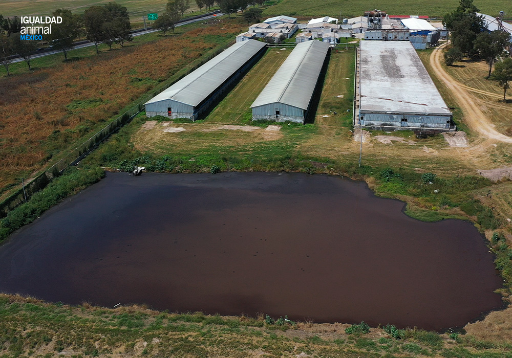 Día Mundial del Agua