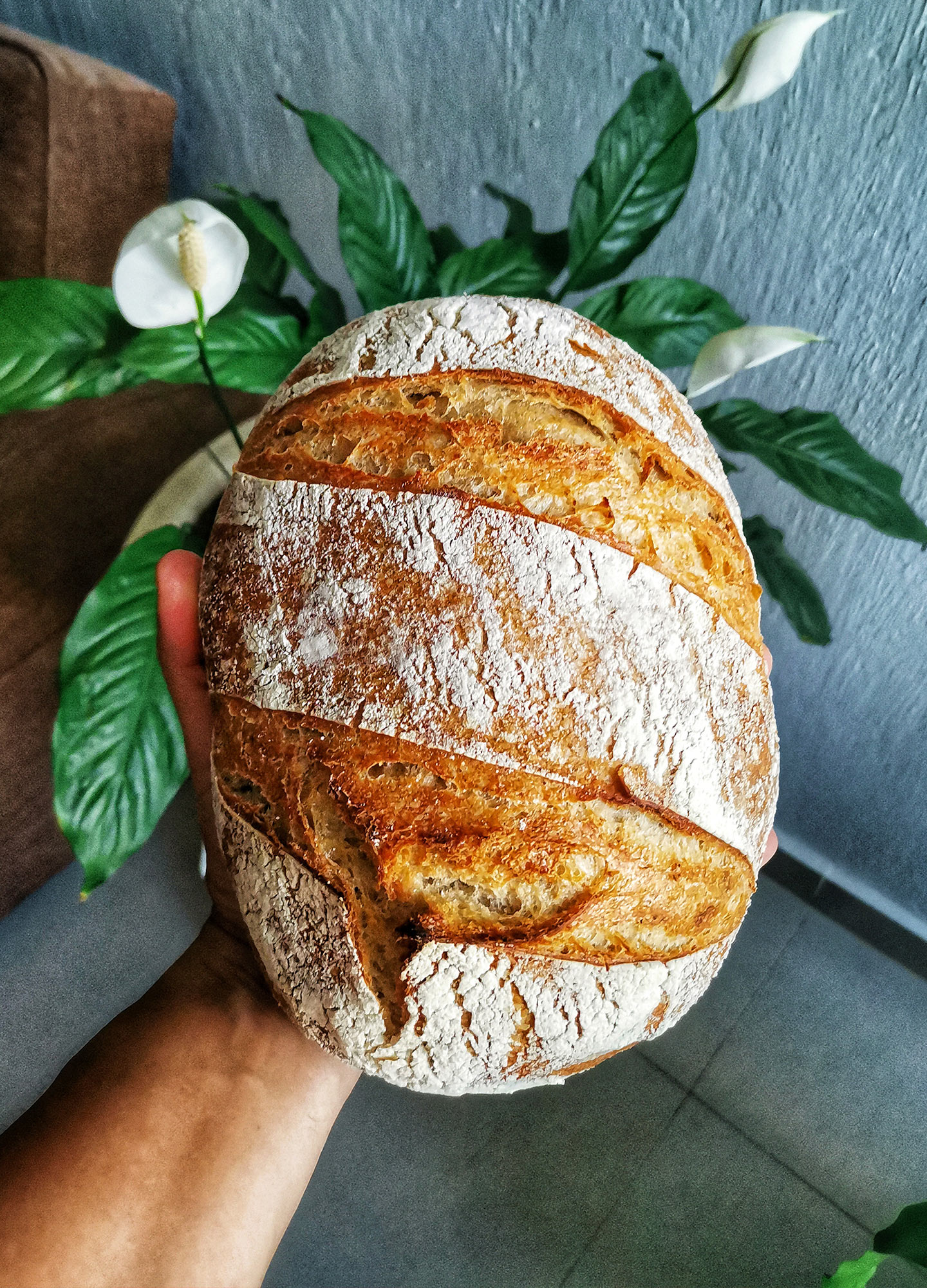 GLUTEN Todo lo que necesitas saber Love Veg