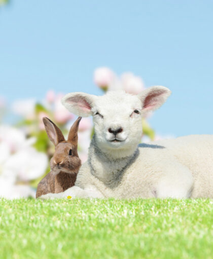 12 Recetas para la primavera | Love Veg México