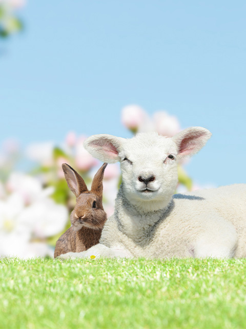 12 Recetas para la primavera | Love Veg México