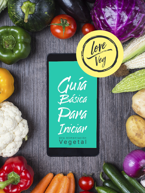 Guía básica para iniciar una alimentación vegetal