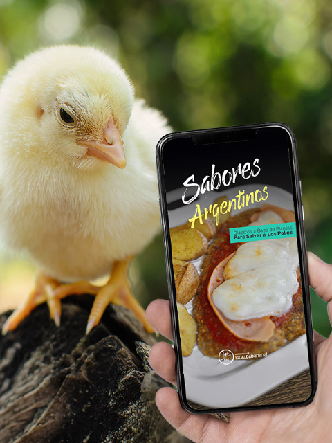 Love Veg Lanza Recetario Argentino Para Salvar a los Pollos
